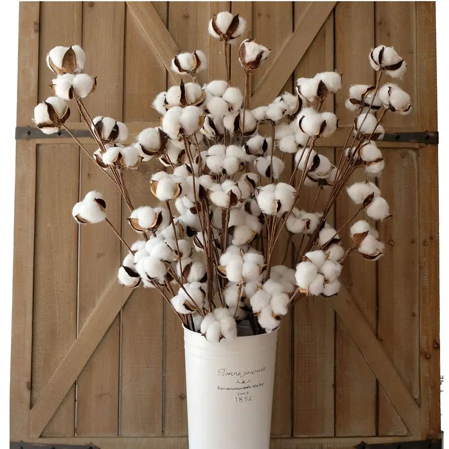 

Хлопковые стебли для декора, ветки с хлопковыми цветами для украшений, сухоцветы для вазы, 6 штук, 31 дюйм в высоту, 12 шаров на стебле.