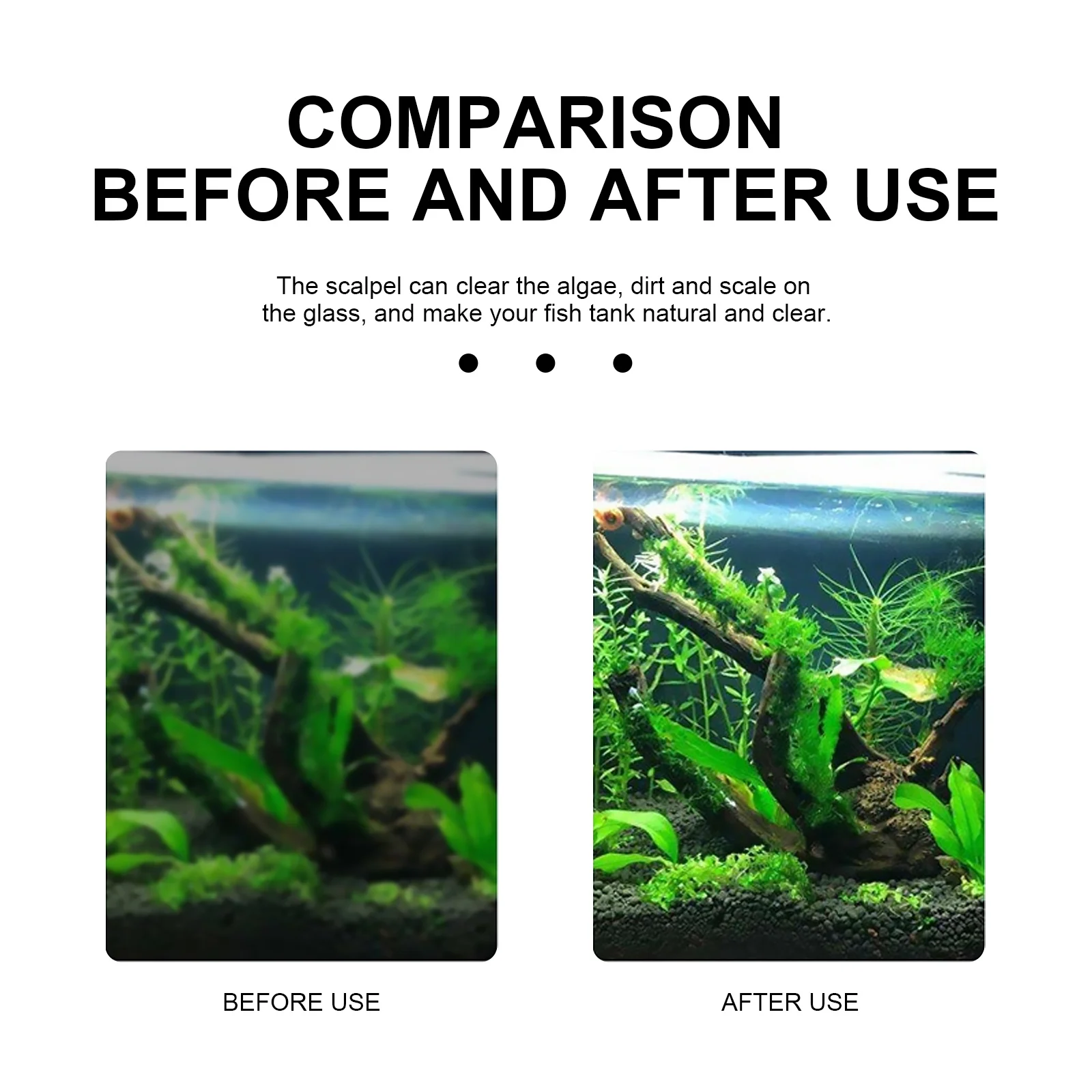 

5Pcs Aquarium Cleaning Tool Fish Tank Scraper Brush with Hanging Hole for Wall Storage Aquarium Cleaning Tool Scraper