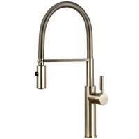 Brushed Nickel Brass Sink Black hose Mount Pull Down Dual Sprayer Nozzle Mixer Water Taps Kitchen Faucet