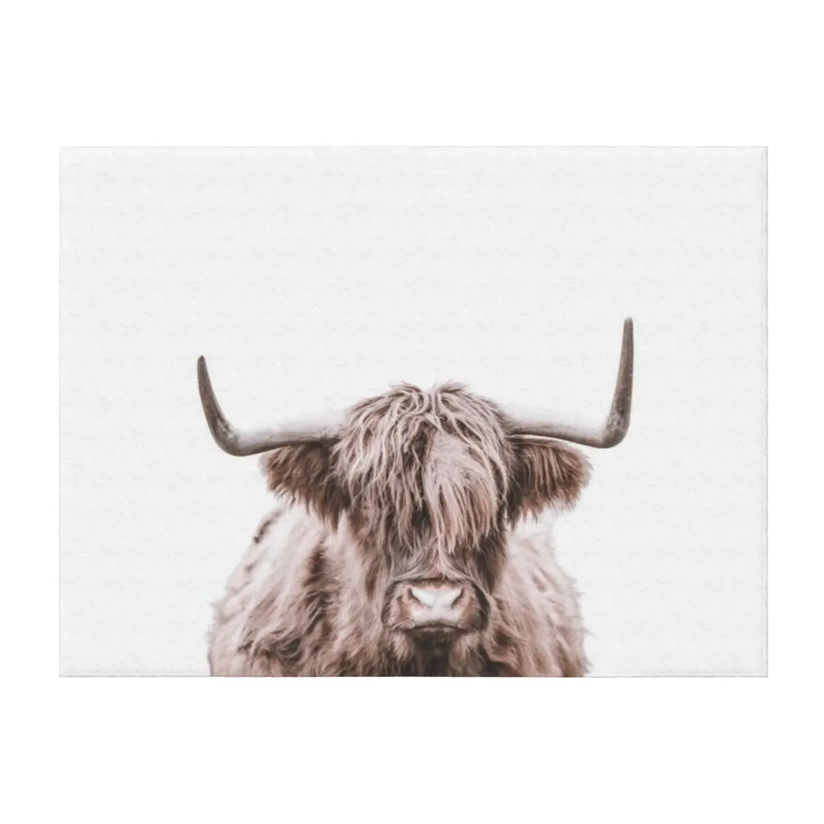 

Highland Cow, Animal Wall Art Throw Blanket Designers Plaid Sofa Throw Camping Blankets