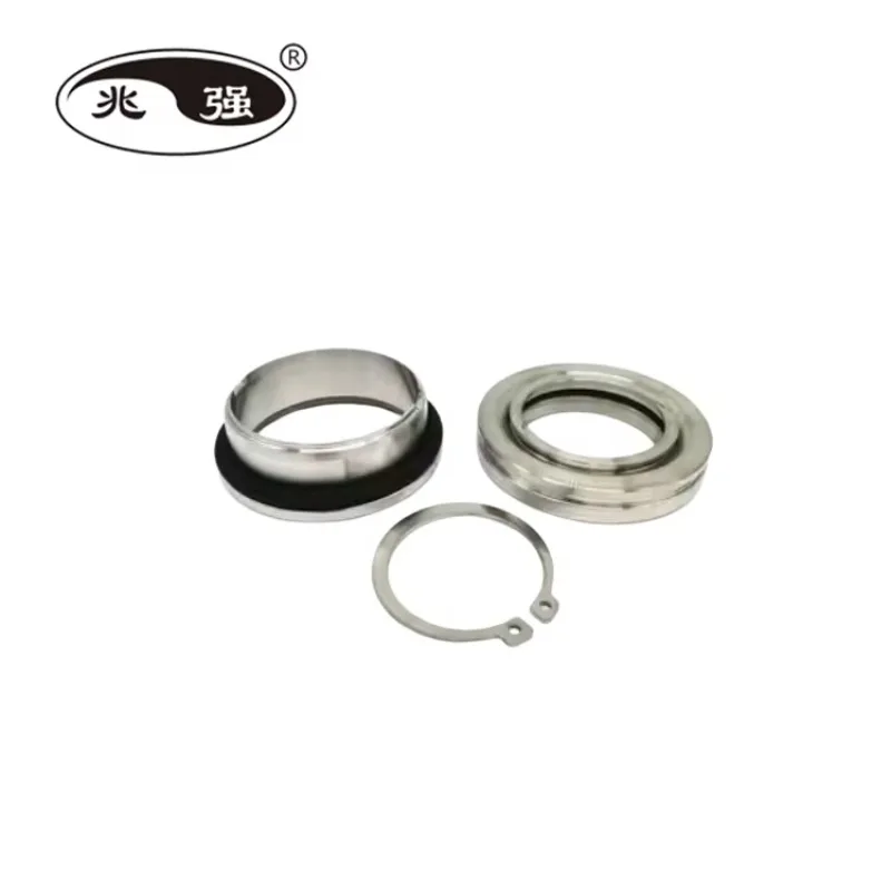 

High-Performance WCCR Mechanical Seal for Pump Model 4460.010