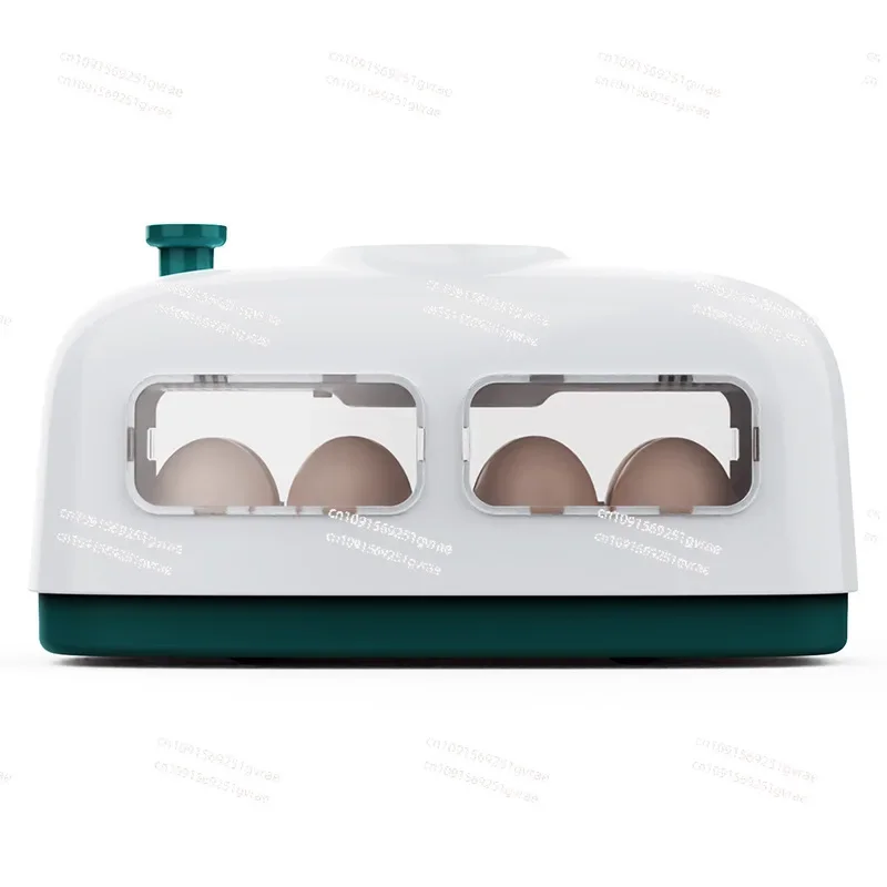 Small train 8 chicks incubator children's gifts family education incubator breeding equipment