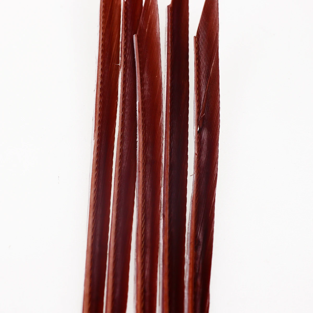 Wifreo 5PCS/bag Wild Turkey Biots Feathers for Split Tails Wrapping Body on Spinner Nymph Dry Flies Emerger Fly Tying Materials