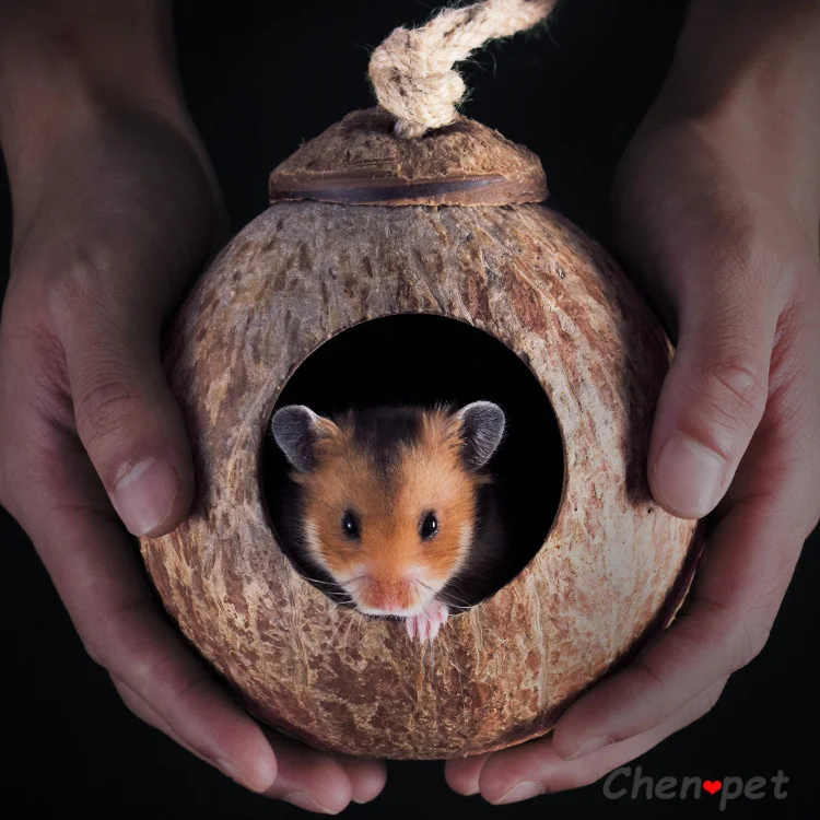 Natural Small Pet Coconut Cages for Hamster Guinea Pig Mice Squirrel Wooden House for Rat Rodent Small Animal Nest Accessories