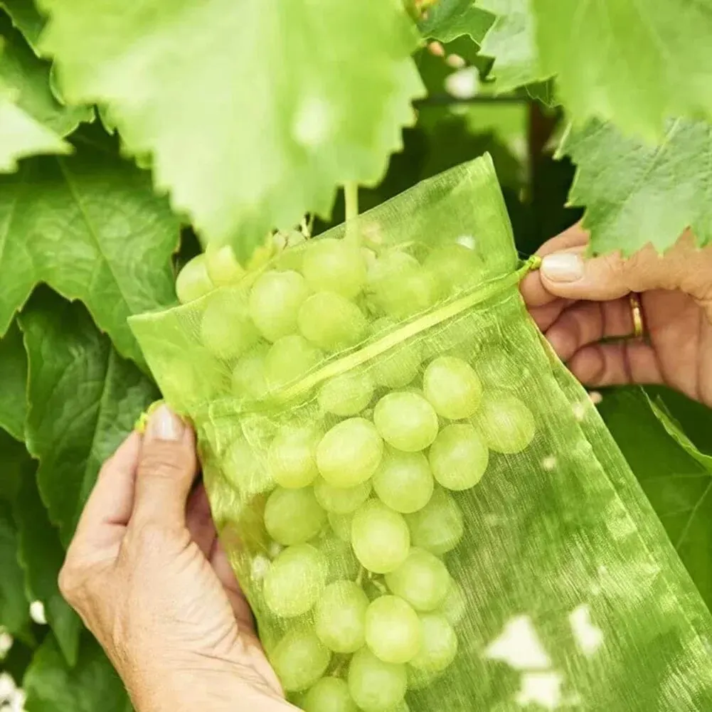 50 szt. Torebek na siatki ogrodowe dla ptaków saszetki na owoce winogrona truskawkowe siatkowa torba Plante pokrycie siatkowe warzywny narzędzie