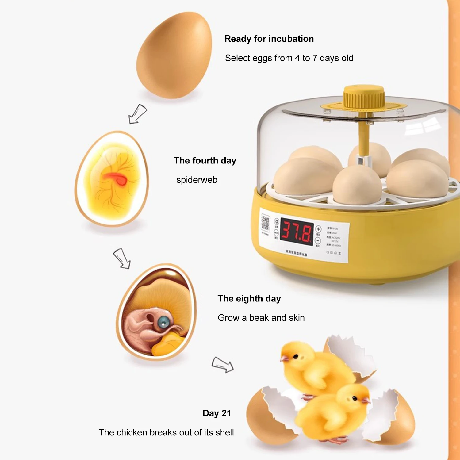 Mini Egg Incubator for 6-18 Eggs Fully Automatic Brooder Egg Incubator With Temperature Control LED Display for Hens and Birds