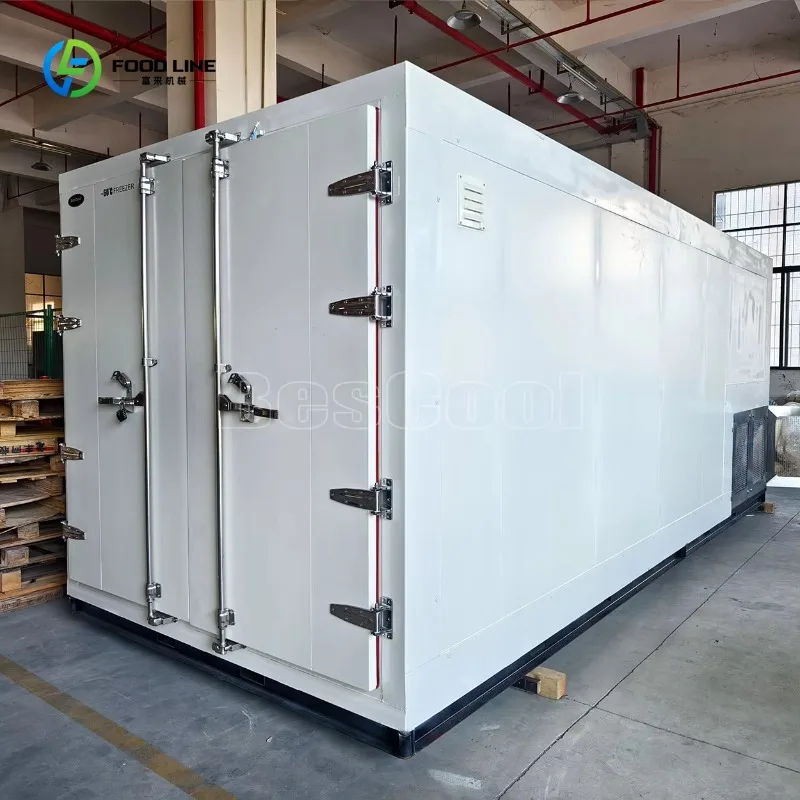 

Customized Mobile Cold Storage -85 Blast Freezer With 150mm Thickness 40KG/m³ Panel Reefer Container for Food Preservation