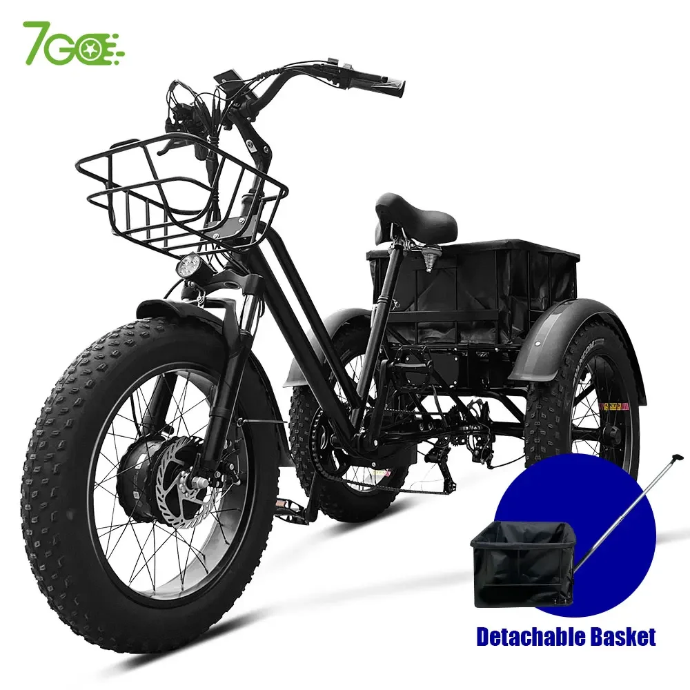 20 Inch 750W Motor  Tire three-wheeler electric e trike cargo bike tricycles 3 wheel pedal electric tricycles for adults