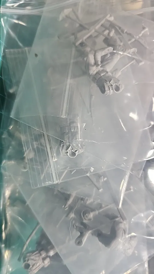 Buyer photo of this resin kit