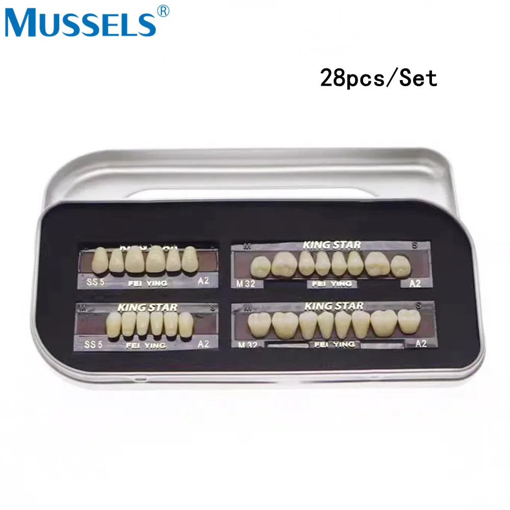 28 uds/Kit de dentadura Dental de acero y plástico, dientes postizos de resina, juego completo de dientes de porcelana, materiales bucales, odontología, Posterior anterior