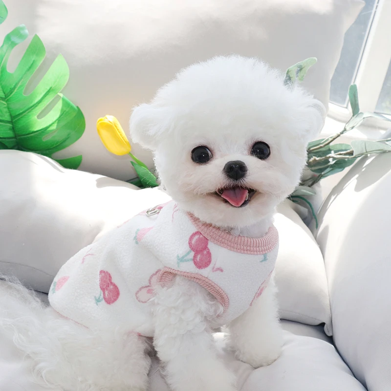 

Cute Rabbit Pattern Pet Sweater Can Pull Dog Clothes Autumn Dog Warm Pullover Casual Two Legged Clothes Dog Products