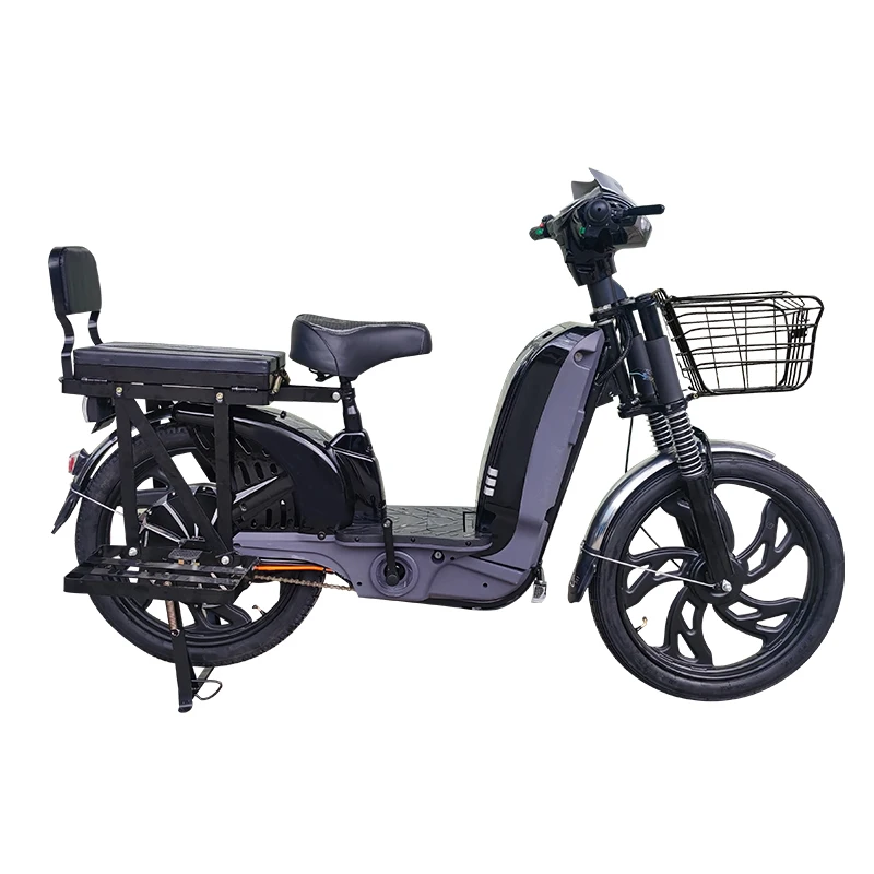 Manufacturer,OEM,22 Inch Heavy Type Delivery Electric Bicycle Household E-bike 800W Lithium Battery  Cargo Electric Bike,Rider