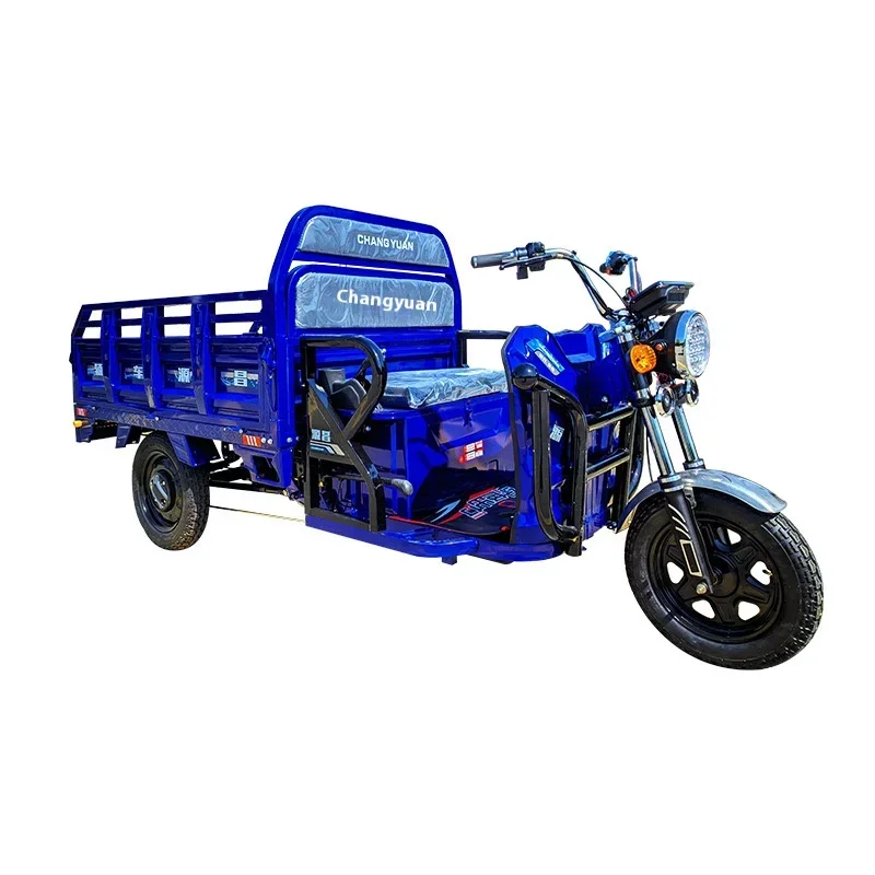 Supplier 20km/h Tricycle Electric Cargo Trike 3 Wheel Electric Tricycle China Shanghai 60V 1000w Lifan 250cc Motorcycle Eec Open