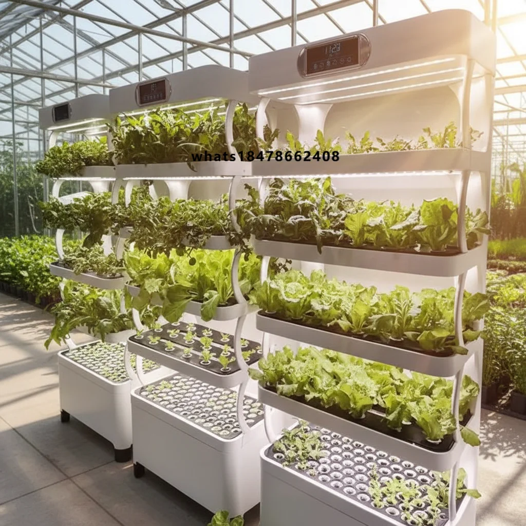 Automatic Vegetable Growing Machine Smart Drip Irrigation System PLC Core Component for Indoor Hydroponic Use Low Cost High