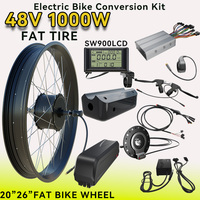 1000W Powerful Electric Bike Conversion Kit 13AH/20AH Hailong Battery Ebike Motor Wheel 20\