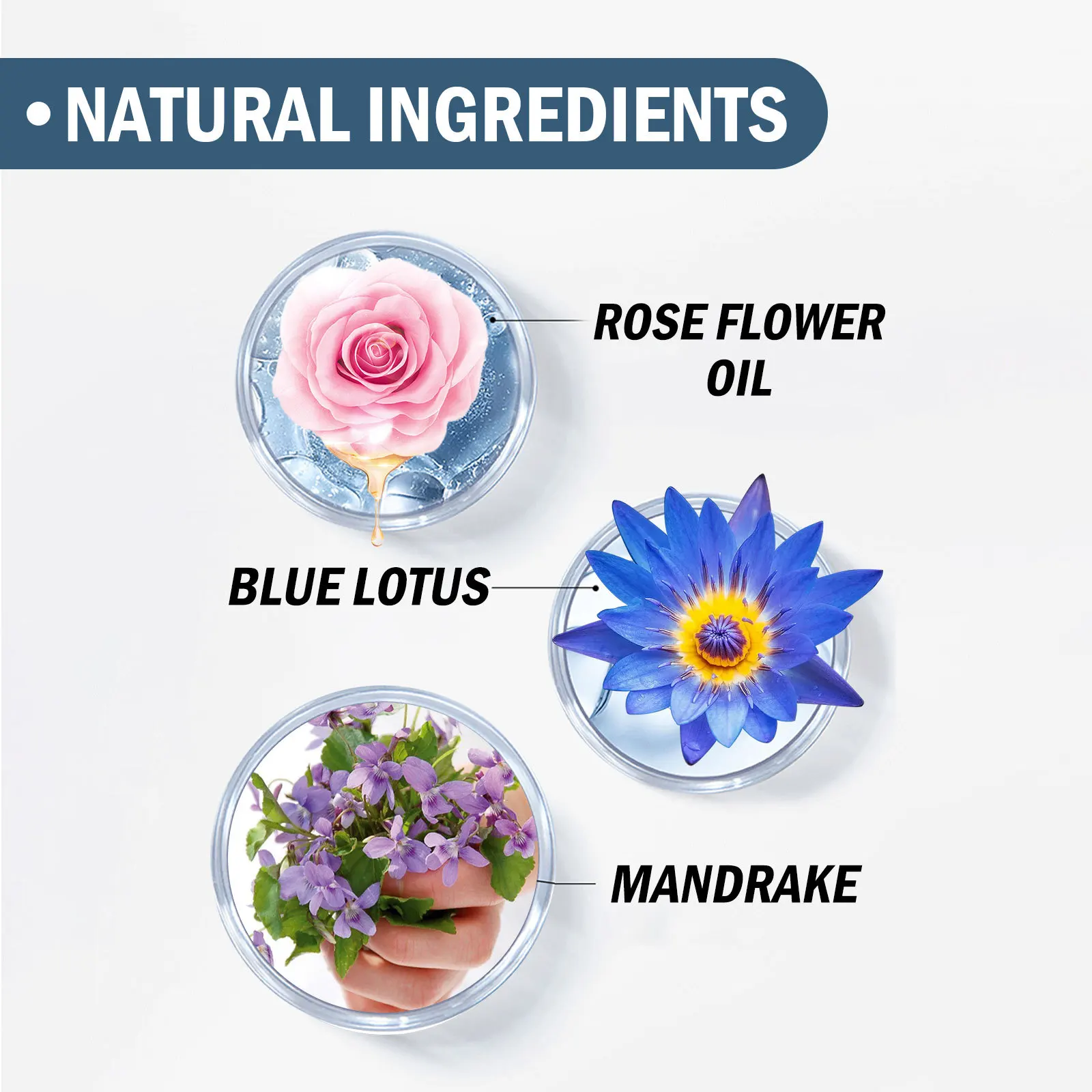 50ml 1.76FL.OZ Perfume de ervas Fragrância leve fresca e duradoura para amantes Fragrância de atmosfera de namoro