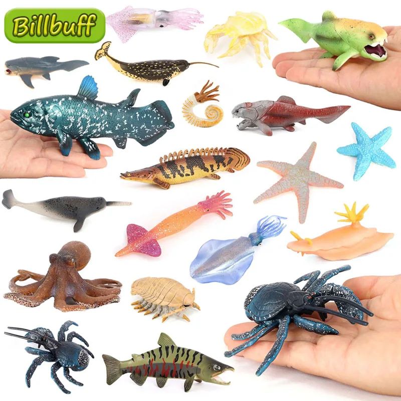 NEW Lifelike Sea Prehistoric Animal Starfish Walrus Dunkleosteus Whale Model Figures Figurines Educational toy for Children Gift