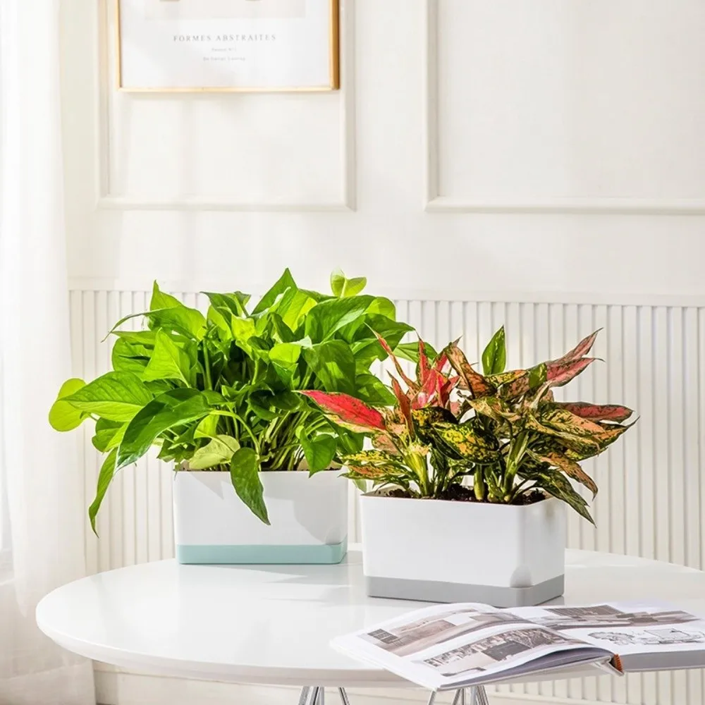 Simple Square Shape Self Watering Plant Pots 2-Layer Design Drainage Hole Plant Pots Plastic Patchwork Flower Planters Indoor