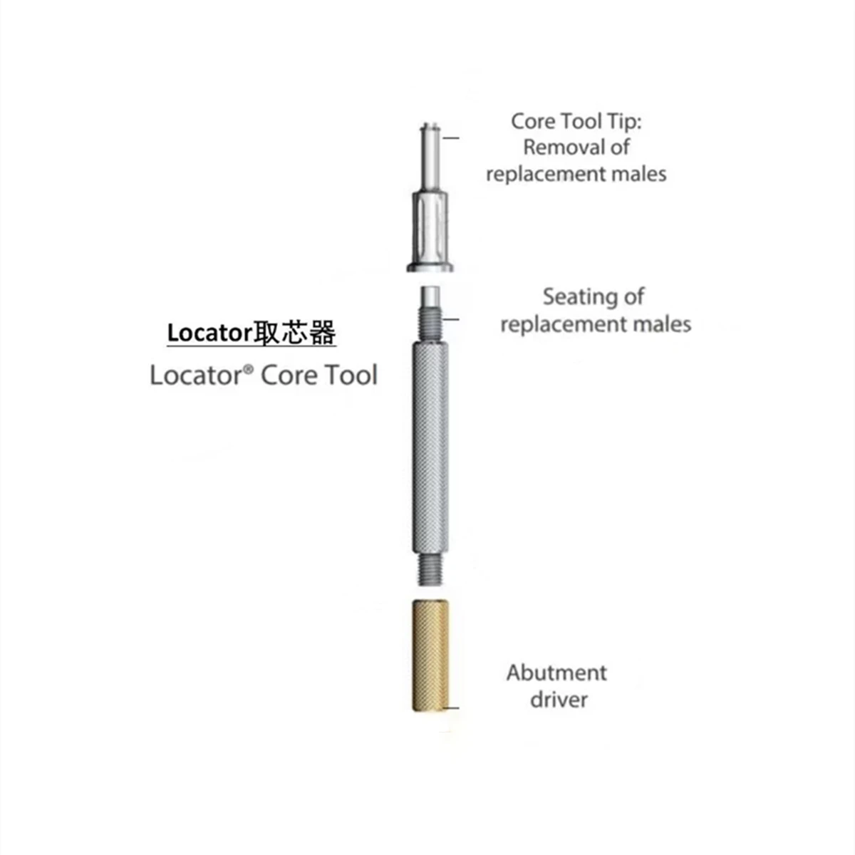 Dental Locator core tools screwdriver Dental Locator Abutment Drntium Osstem ITI Nobel Fill repair Screw