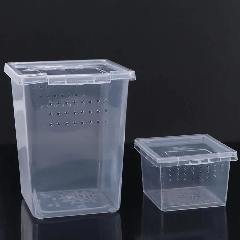 Reptile Accessories…