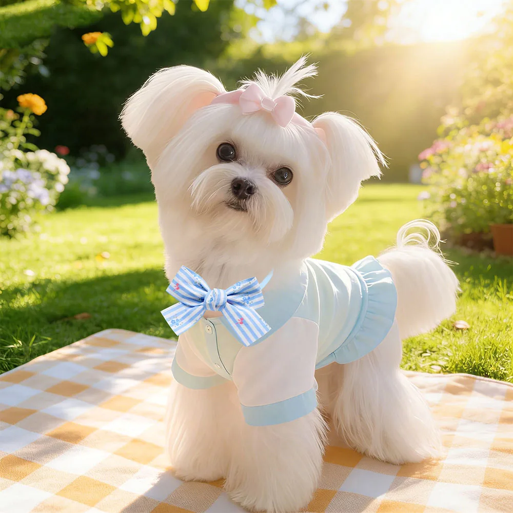 Thumbnail 4 - #19 Best Adjustable Pet Collars to Buy In 2026