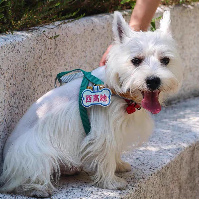 

DIY Pet ID Tags Dog Accessories for Dog Cat Pet Supplies Hung On Traction Rope Vest Harness Set Leash Pet Grooming Decoration