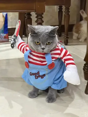 Funny Cat Clothes Halloween Cosplay Costumes For Small Medium Dog Cats Creative Pet Party Kitten Jumpsuits Soft Warm Cat Coat