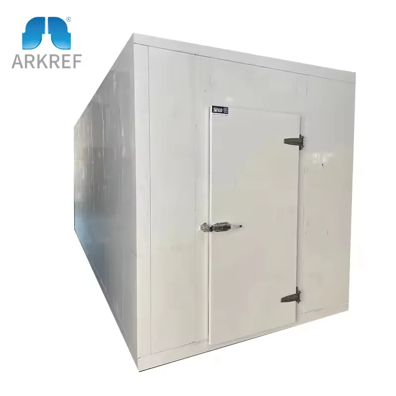 Camminata nella stanza fredda Refrigerazione modulare all'ingrosso Camminata nel contenitore del congelatore 10FT 20FT Sala di conservazione frigorifera per carne e verdura