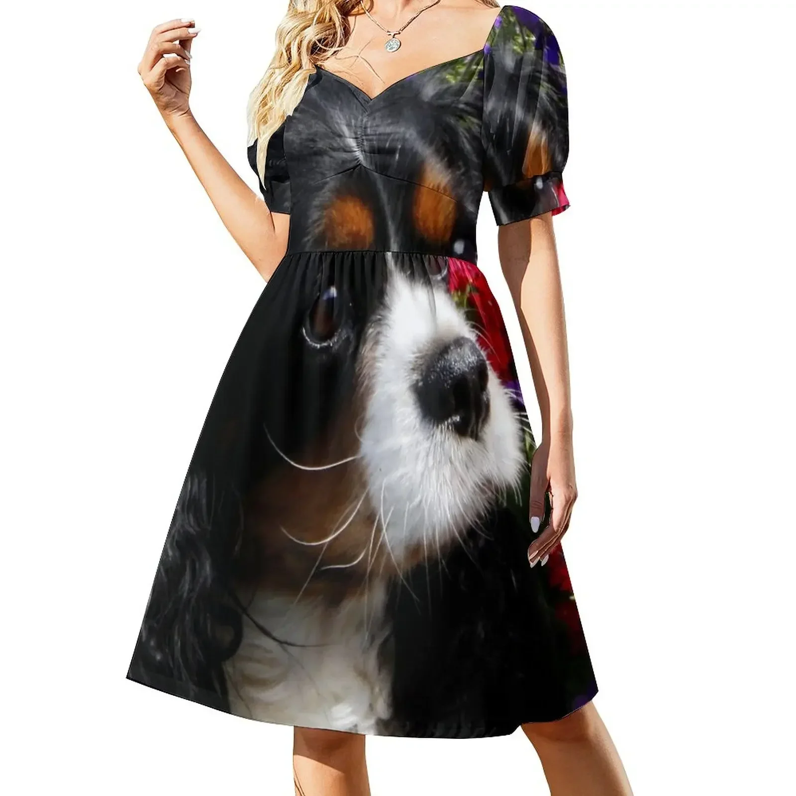 

Charlie (Girl) in the Petunia's Short-Sleeved Dress luxury woman evening dress summer dresses Dress
