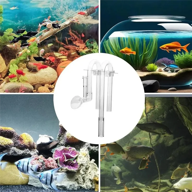 【Schnelle Lieferung】Aquarium-E – Aquarium Fish Delivery Bewertung und Preis