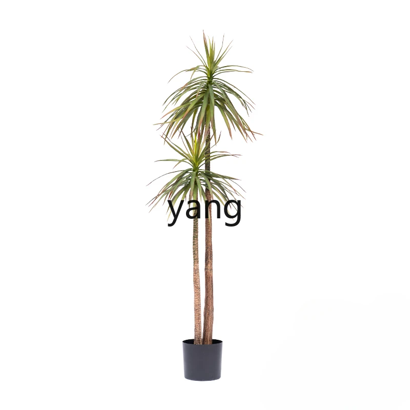 

CX Simulation Dracaena Dracaena Marginata Greenery Potted Plant Fake Trees Indoor Living Room and Shop Landscaping