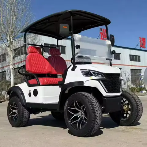 럭셔리 2/4인승 버기 60v 리튬 배터리 전기 골프 카트 4*4 4WD 오프로드 리프트 10kw 15kw 헌팅 골프 카트