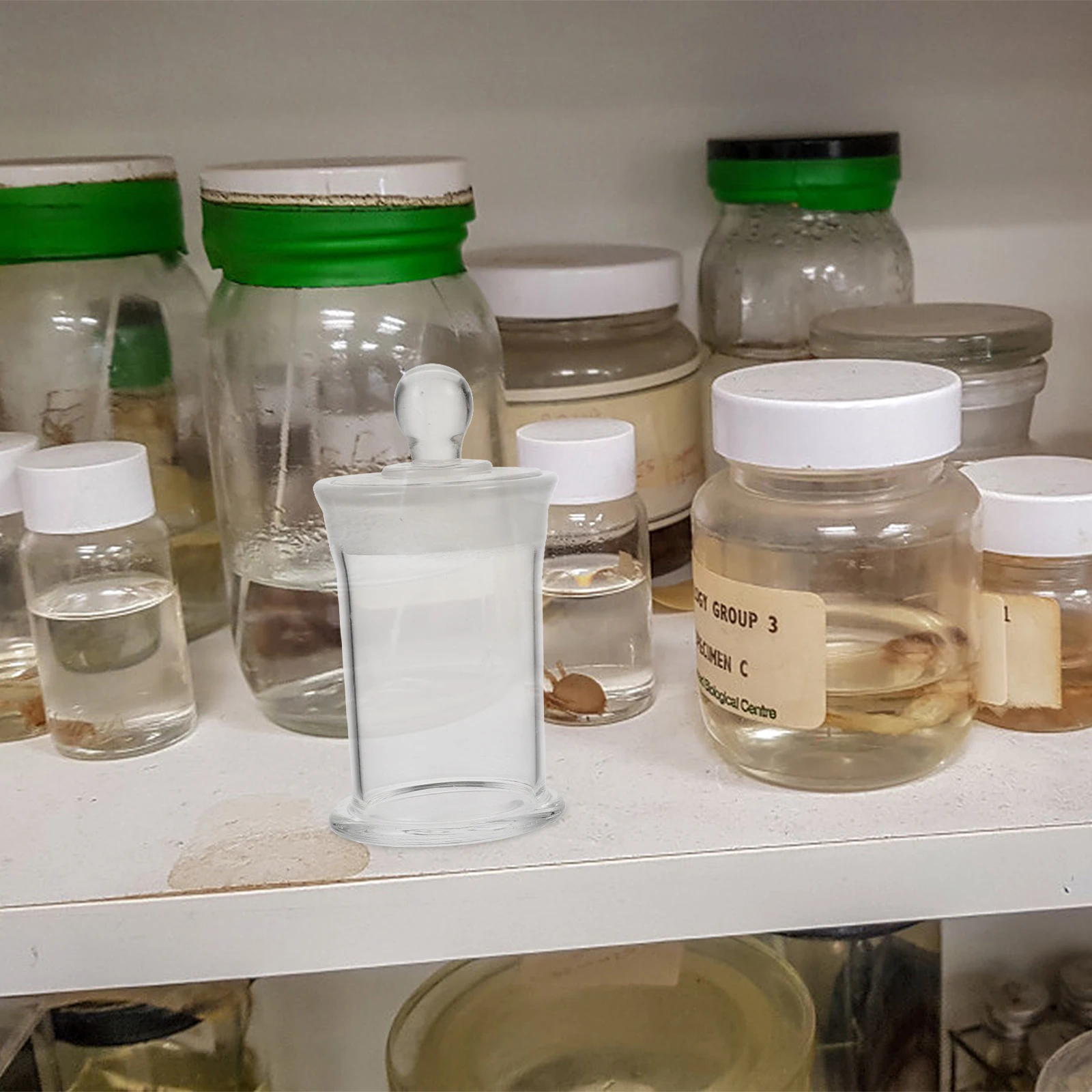 

1Pcs Sample Bottle Glass Specimen Borosilicate Heat Resistant Laboratory Chemistry Storage Vial Glass Specimen Bottle