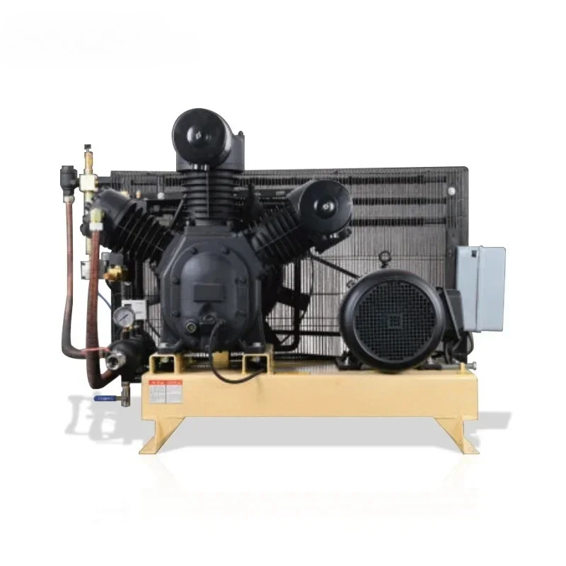 China Competitive Price High Pressure air Compressor 30 bar air Compressor