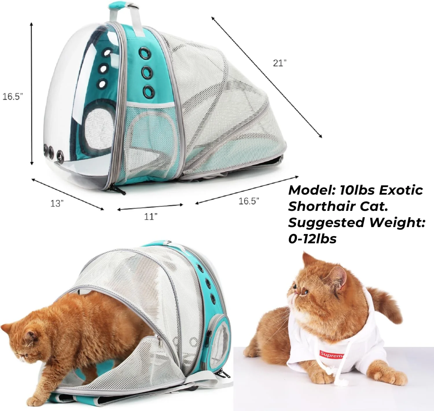 Cat Backpack Bubble Expandable Backpack For Pets And Small Dogs Airline Approved For Traveling Hiking Walking And Outdoor Use