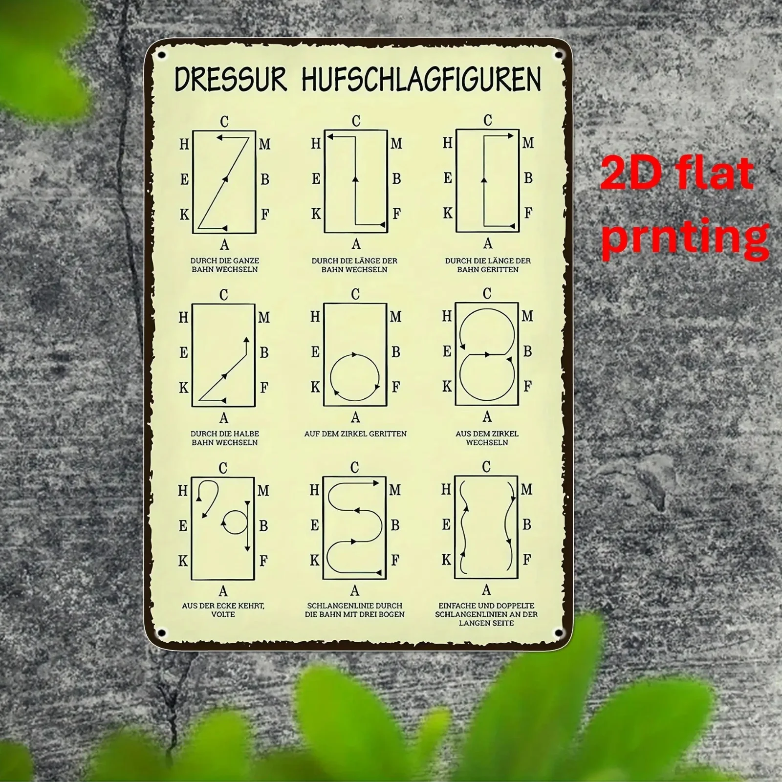2D Flat - Vintage German Poster for Dressage Training, . - Equestrian Commands (Arco, Bender, Halten, Losreiten) - Durable Iron