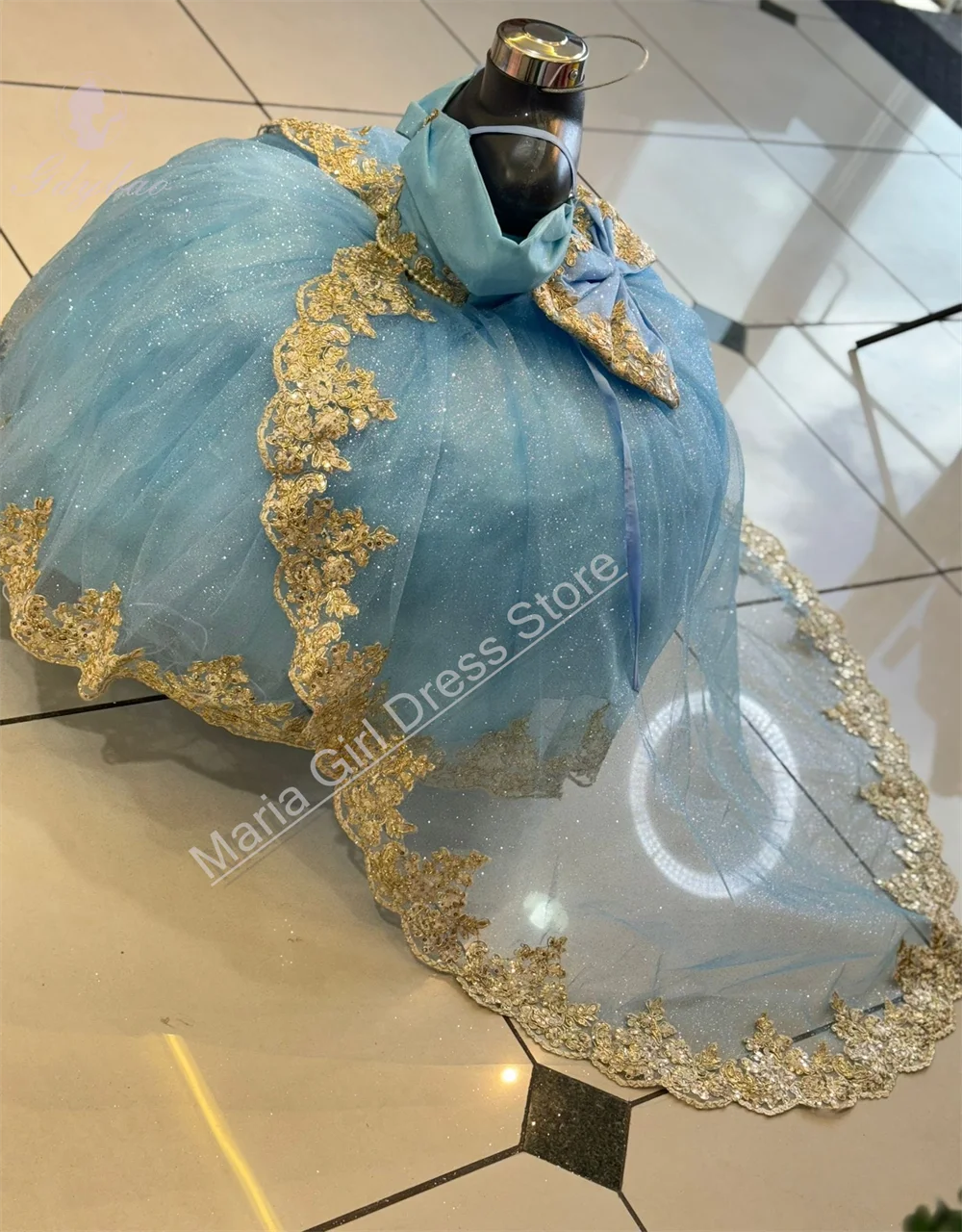 Light Blue Christmas Dress Girls Fluffy Flower Girl Dress Spaghetti Straps Gold Lace Appliqué Pageant Wedding First Communion image 2