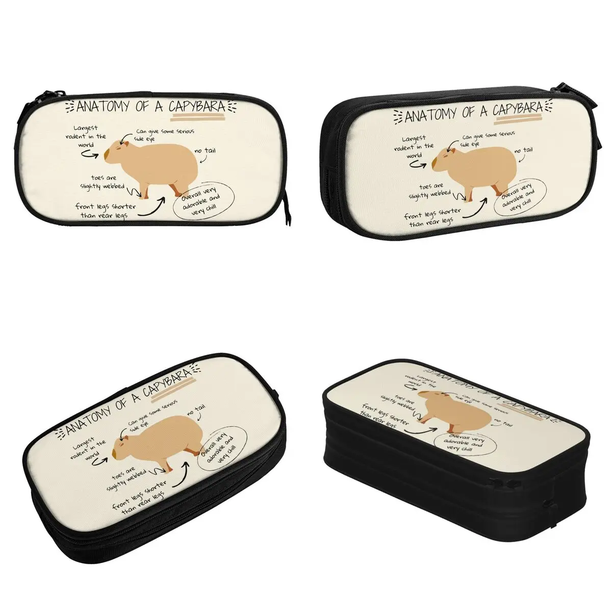 Capybara Anime Pencil Case, Pen Box para Crianças, Bolsa de Grande Capacidade para Estudantes, Papelaria Escolar, Anatomia