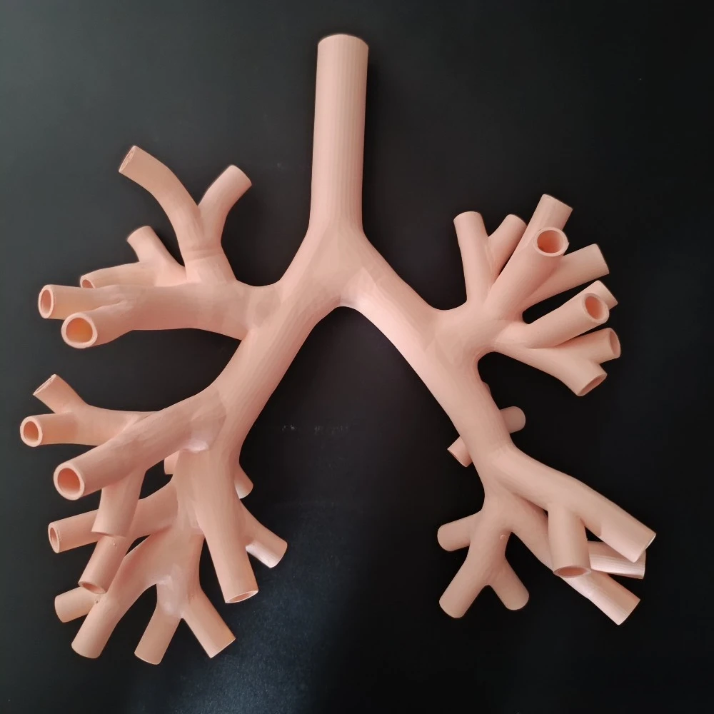 1:1 Level 4 Bronchial Model Bronchoscopy Training Model Resin Material Fiber Bronchus for Teaching Practice Training