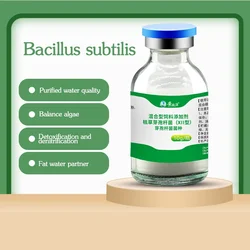 Bacillus subtilis strain powder aquaculture special raw powder fish pond fat water shrimp and crab pond water purification