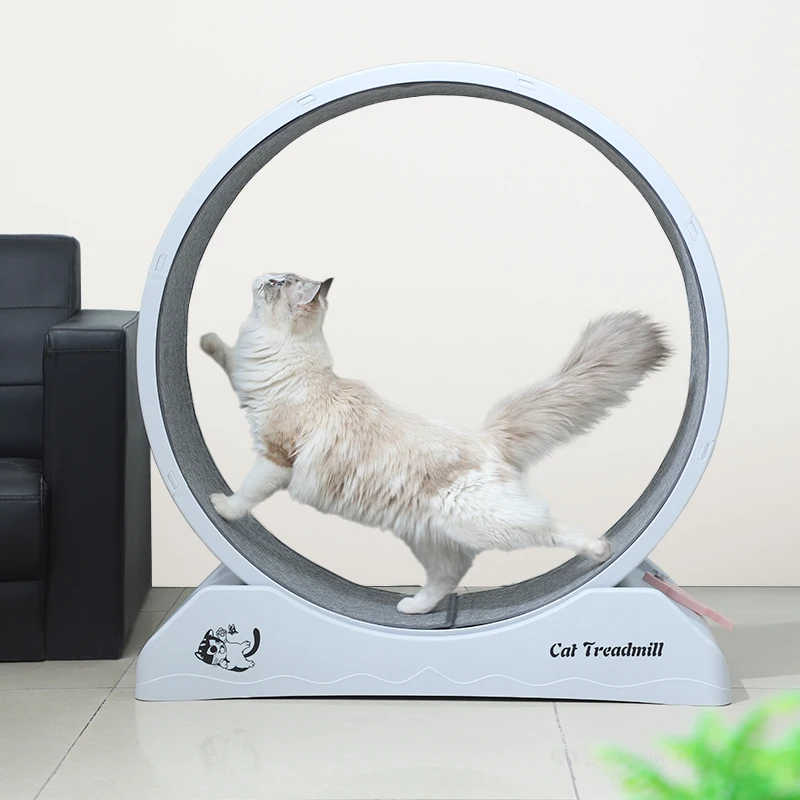 

Cat Wheel Circle Track for Household, Interactive Pet Tread Exercise Running Wheel Cat Climbing Frame Cat Treadmill