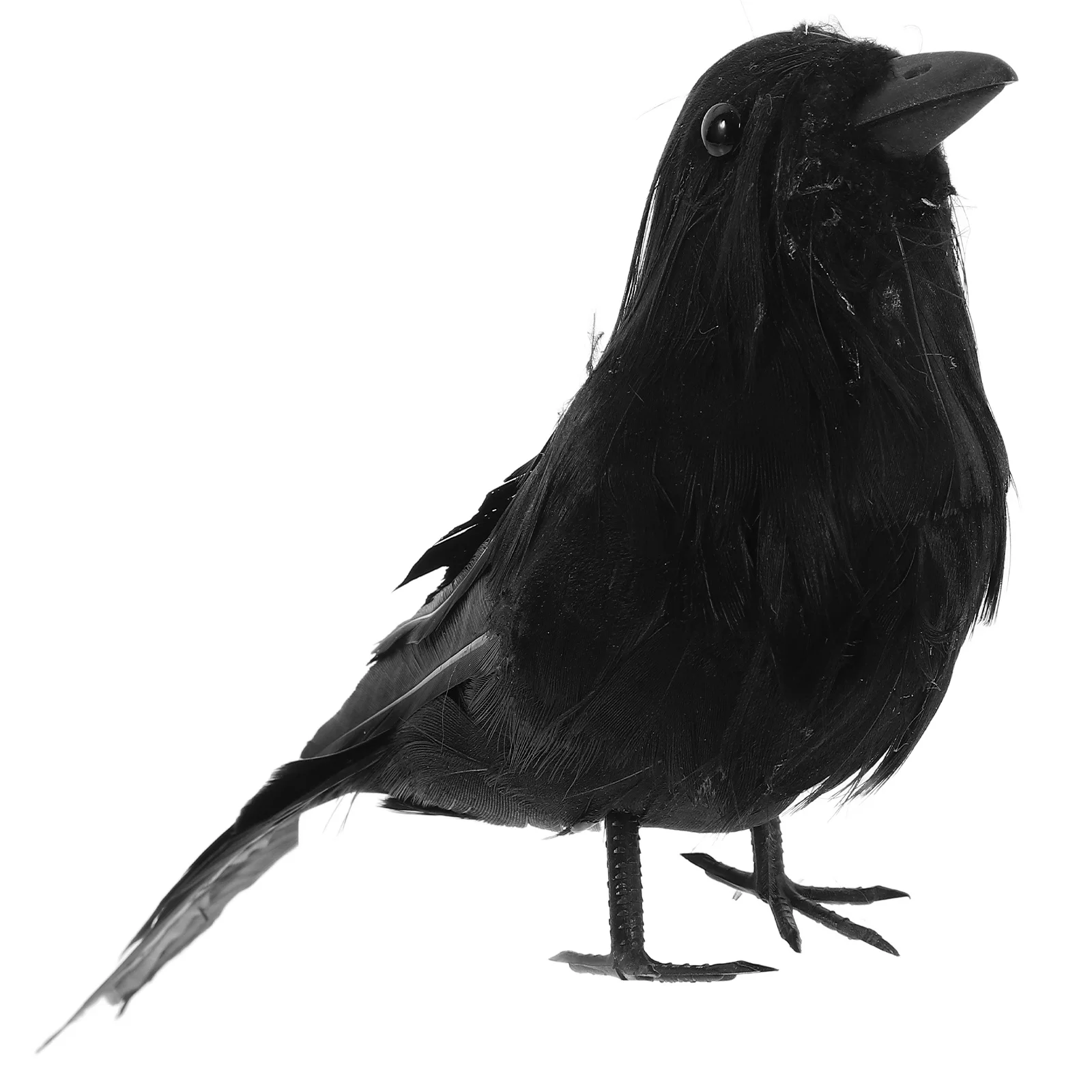 

Realistic Looking Crow Prop Decor Artificial Bird for Halloween Outdoor Indoor Display Haunted Fence Back