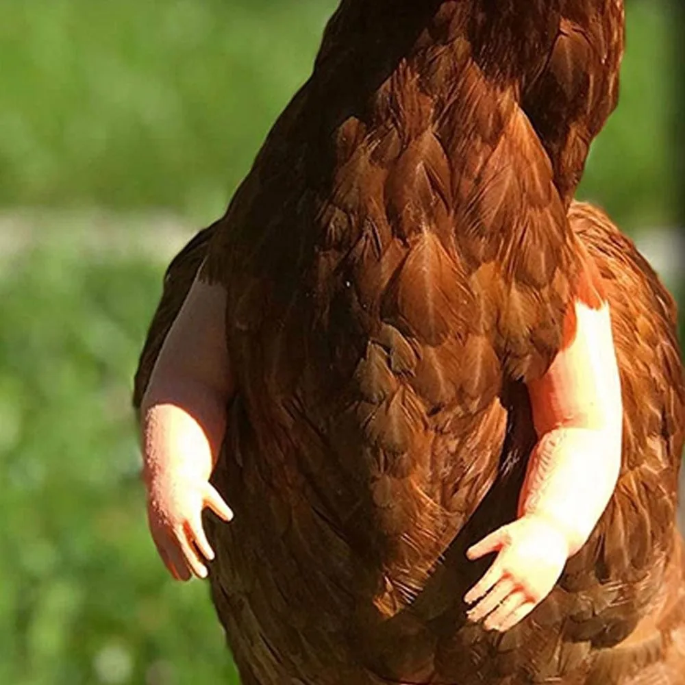 Universal Funny Fighting Chicken Arms Giant Arm Novelty Wearing Muscle Arm Artificial Chicken Arm Decoration Pet Theme Party