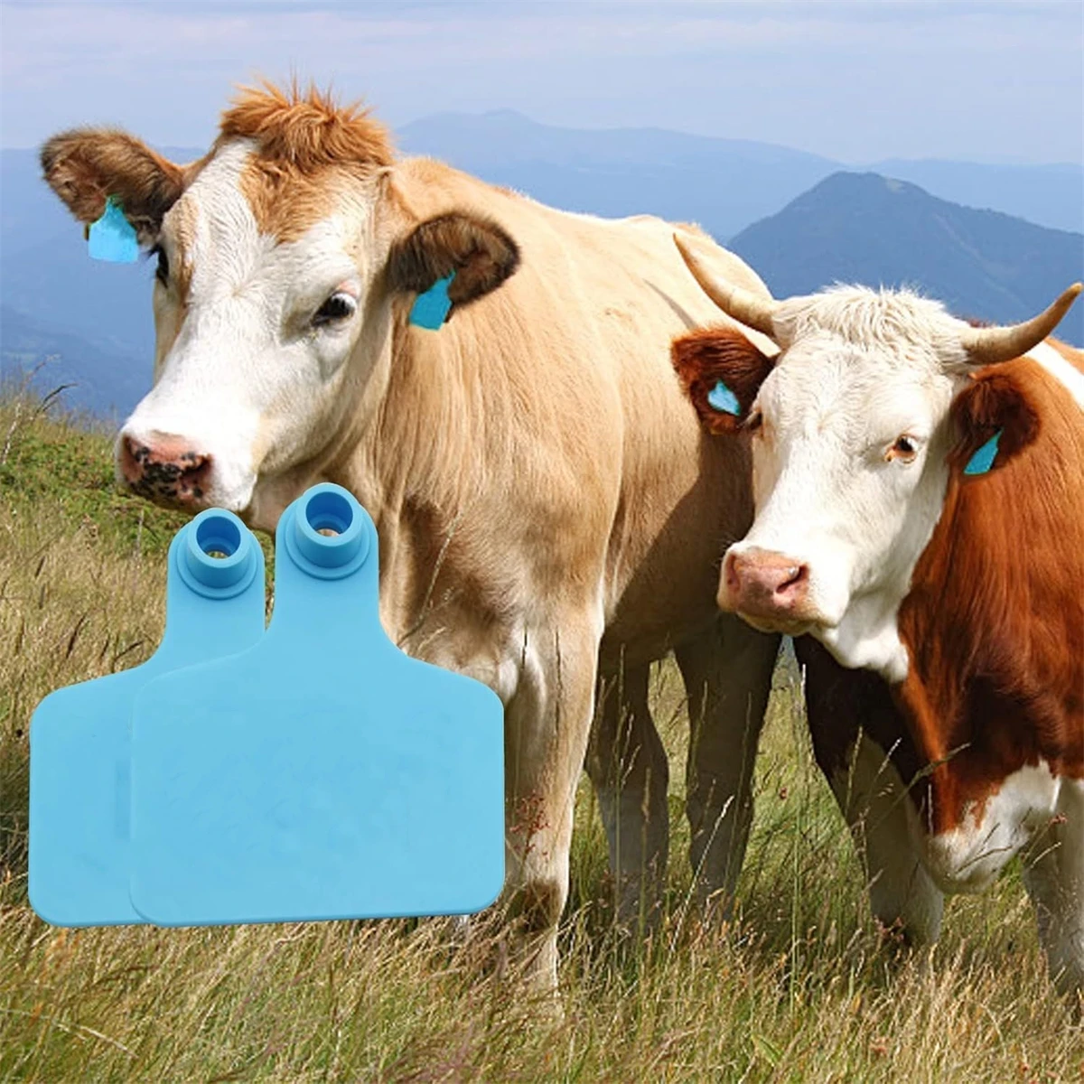 1 Pack/100Pcs TPU Farm Animal Ear Tags without Numbers Sheep Pig Calf Identification Number Plates with Copper Round Earrings