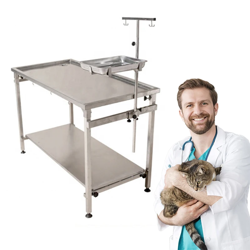 

High-quality Veterinary Equipment Steel Pet Operation Table Vet Examination Veterinary Dissecting Surgical Table