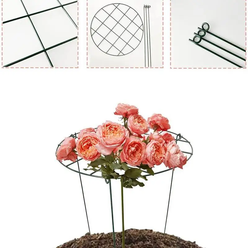 Plant Support Stakes Peony Cages Rings 4pcs Metal Frame Flower Rings Upright Flower Protection Gardening Supplies for indoor