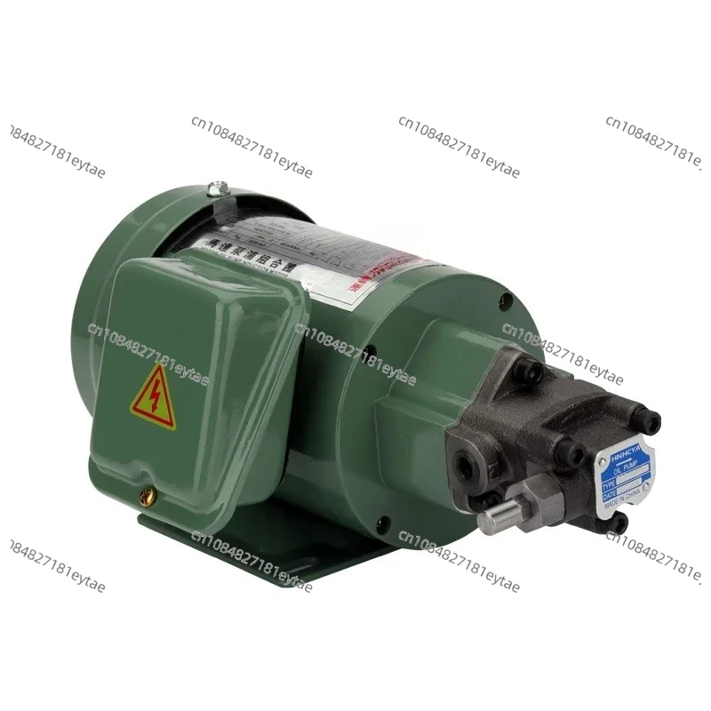 Small Electric Moto…