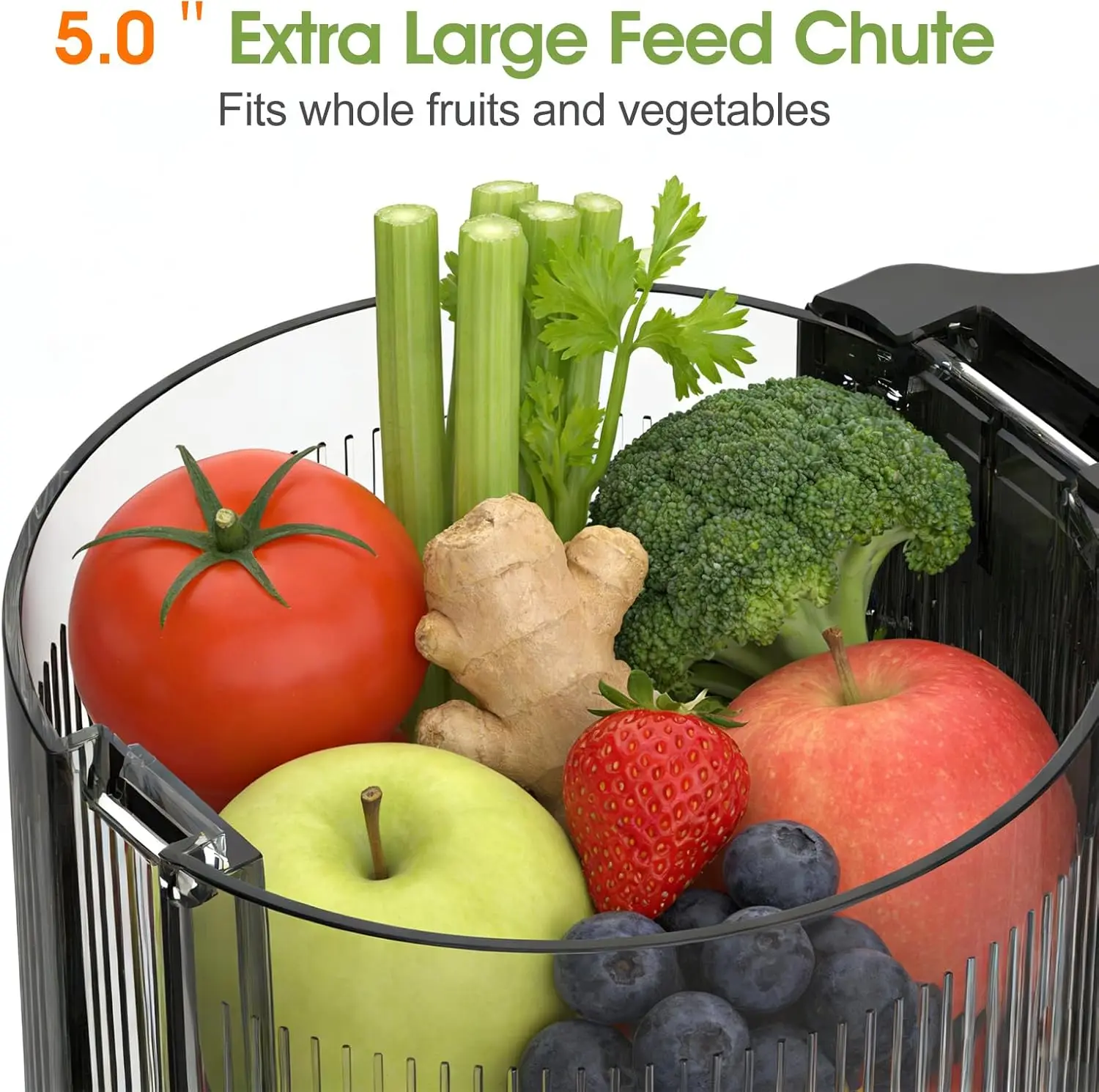 Stainless Steel Cold Press Juicer, Slow Masticating Machine - 5.0 Inch Wide Feed Chute, Large Auger, 304 Stainless Steel Pre-Cut