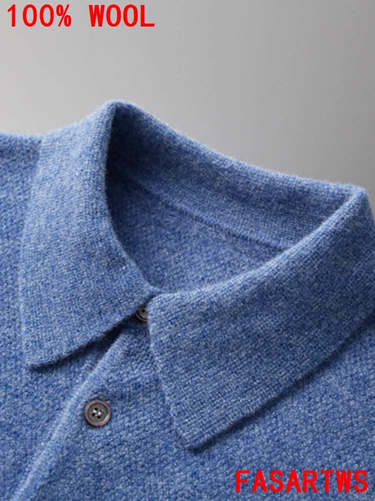 2025 Choice High Quality Men POLO Collar Wool Pullover Cashmere Sweater Autumn Winter Smart Casual 100% Merino Wool Knitwear Top