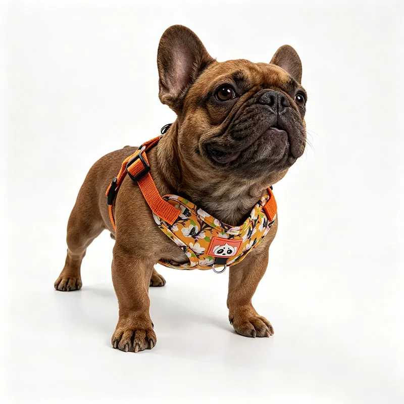 Coleira peitoral floral fofa para cães, ajustável e respirável, ideal para buldogues franceses, cães de pequeno e médio porte e gatos._voghion.com